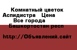 Комнатный цветок Аспидистра › Цена ­ 150 - Все города  »    . Башкортостан респ.